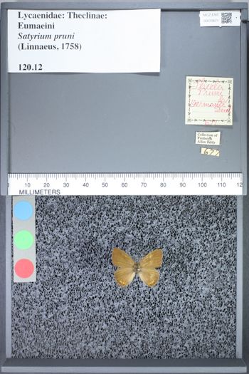 Media type: image;   Entomology 70671